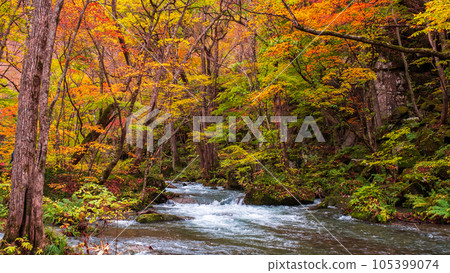 Oirase Stream (Autumn) Oirase Stream (Autumn) 105399074
