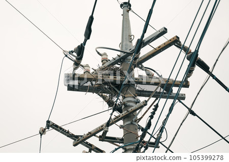 烏鴉在電線桿上築巢 105399278