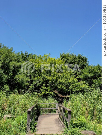 The refreshing summer blue sky and my walking path 105399612