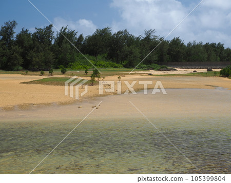 Beach of Iwabashima Sawada 105399804