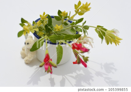 Tiny arrangement of lotus brimstones and a teddy bear Tiny arrangement of lotus brimstones and a teddy bear 105399855