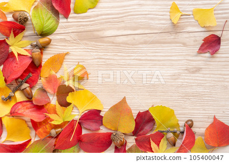 Frame of natural fallen leaves and acorns Frame of natural fallen leaves and acorns 105400047