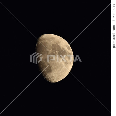Moon Moon 105400055