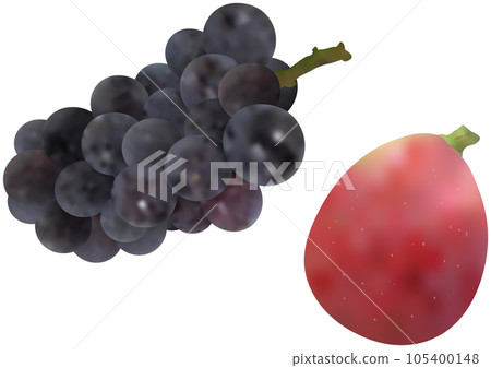 "Grape" New Pione and "Fig" 105400148