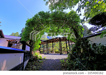 蒟蒻警衛室 105400162