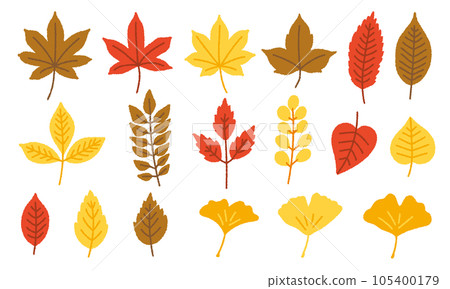 手繪矢量插圖集秋季植物/秋葉、銀杏、楓樹、樹葉、落葉 105400179