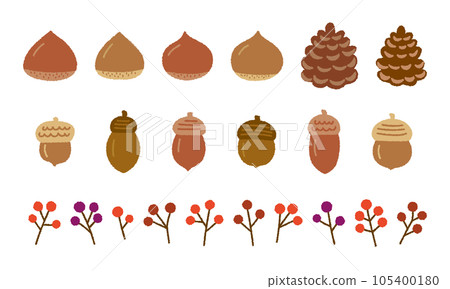 手繪矢量圖組秋季植物/橡子、栗子、松果、紅色水果 手繪矢量圖組秋季植物/橡子、栗子、松果、紅色水果 105400180