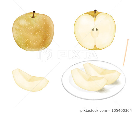 Set of whole, half and wedge pears drawn by watercolor Set of whole, half and wedge pears drawn by watercolor 105400364