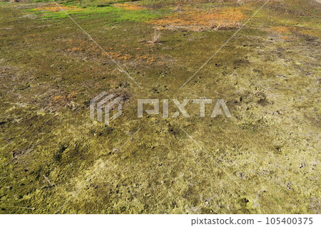 深秋乾涸的濕地景觀 深秋乾涸的濕地景觀 105400375