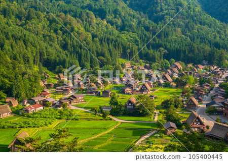 Shirakawa-go in summer (evening view) 105400445