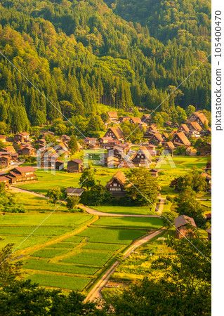 Shirakawa-go in summer (evening view) 105400470