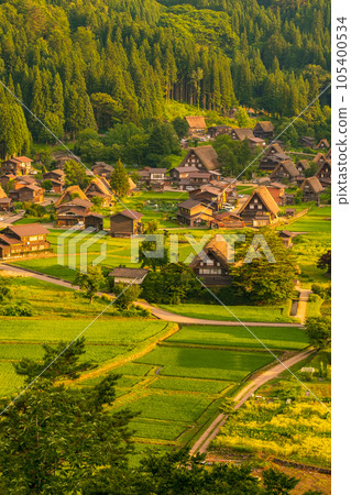 Shirakawa-go in summer (evening view) 105400534