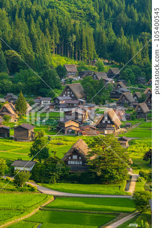 夏日的白川鄉(夜景) 夏日的白川鄉(夜景) 105400545