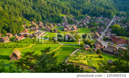 夏日的白川鄉（夜景） 105400558