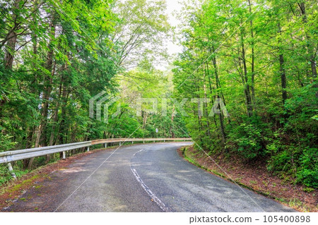 穿過通往森林的道路 穿過通往森林的道路 105400898