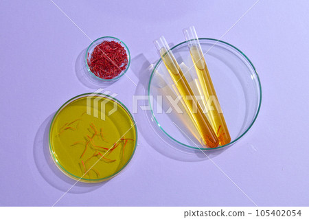 Top view of stigmas saffron on petri dish and yellow essence on test tubes decorated on purple background. Scene of natural ingredients with many uses for beauty 105402054
