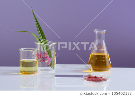 Square-shaped podium with beakers and flask of fluid, petri dish of saffron surrounded. Saffron contains an impressive variety of plant compounds 105402152
