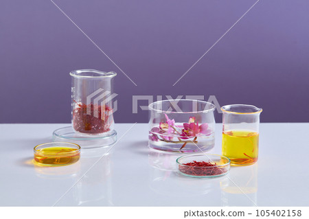 Purple flowers, saffron and yellow liquid contained inside some laboratory glassware on purple background. Saffron may improve mood and treat depressive symptoms 105402158