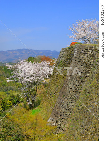 春岡城遺址（竹田市，垂直構圖） 105402247