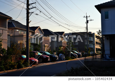 Morning park 105402434