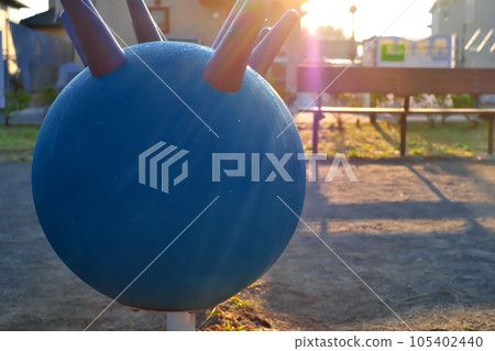 Morning park Morning park 105402440