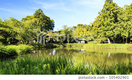 夏天在有池塘的公園裡 105402901
