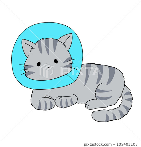 cat doing collar 105403105
