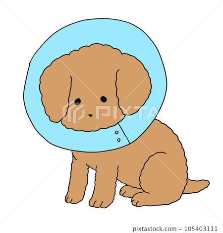 dog with collar 105403111