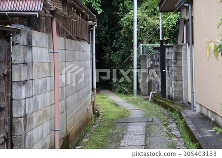 有石路面和土路的景觀通向私人住宅之間的樹林 105403133