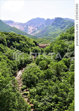 從十勝岳溫泉湯本凌雲閣遠眺北海道雄偉的十胜山 105403880