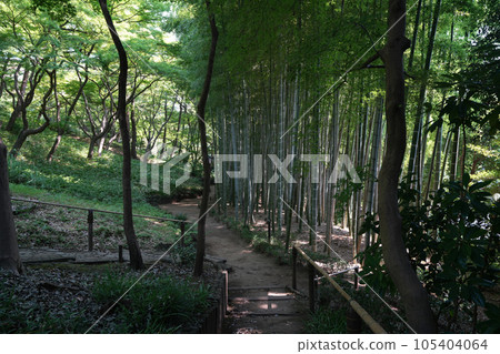 Tonogayato garden in summer Tonogayato garden in summer 105404064