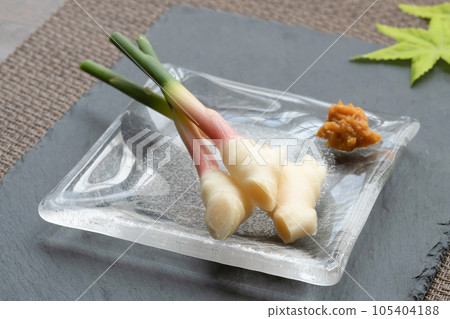 leaf ginger 105404188