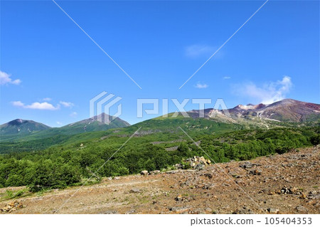 Tokachidake in Daisetsuzan National Park, Hokkaido's greatest mountain, hiking through the forest park at the foot of the mountain, and being soothed by the alpine plants. 105404353