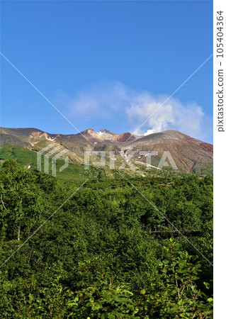 北海道第一大山大雪山國立公園的十勝岳，徒步穿越山腳的森林公園，感受高山植物的舒緩。 105404364