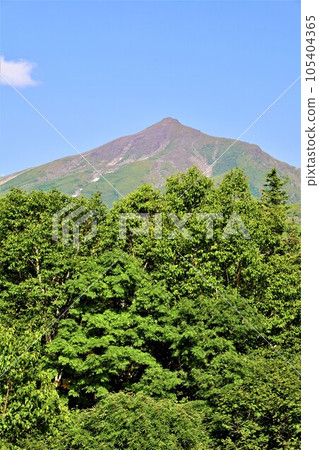 北海道第一大山大雪山國立公園的十勝岳,徒步穿越山腳的森林公園,感受高山植物的舒緩。 北海道第一大山大雪山國立公園的十勝岳,徒步穿越山腳的森林公園,感受高山植物的舒緩。 105404365