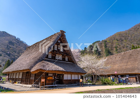 富山縣五箇山市菅沼合掌村春天的櫻花 富山縣五箇山市菅沼合掌村春天的櫻花 105404643