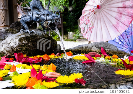 長津屋和花【神奈川縣秦野市出雲大社相模分社】 長津屋和花【神奈川縣秦野市出雲大社相模分社】 105405081