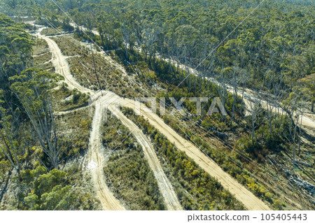 Drone aerial photograph of telephone lines running through a forest affected by bushfire in Australia 105405443