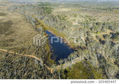 Drone aerial photograph of a forest affected by bushfire in the Central Tablelands of New South Wales in Australia 105405447