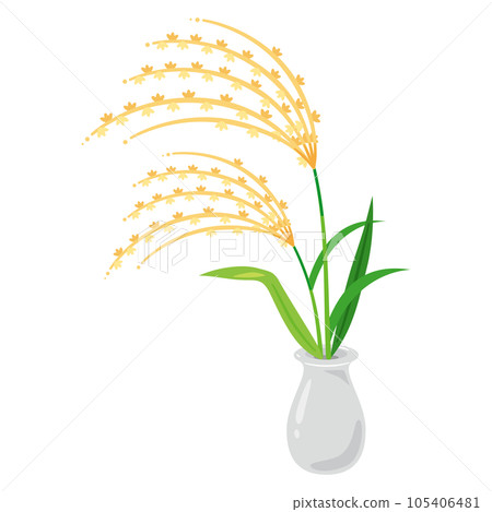 pampas grass in a vase 105406481