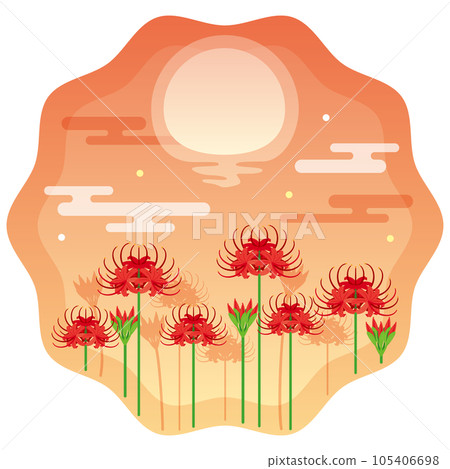 Sunset and cluster amaryllis 2 105406698