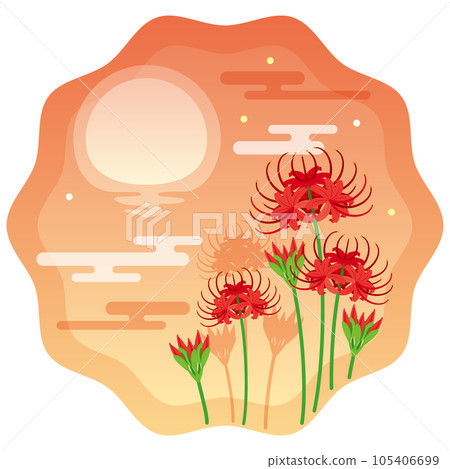 Sunset and cluster amaryllis 1 Sunset and cluster amaryllis 1 105406699