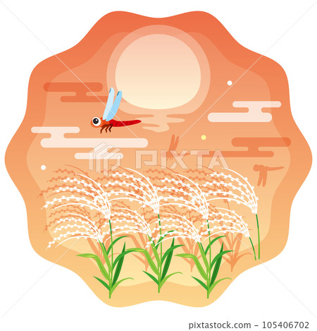 Sunset, pampas grass and dragonfly 2 105406702