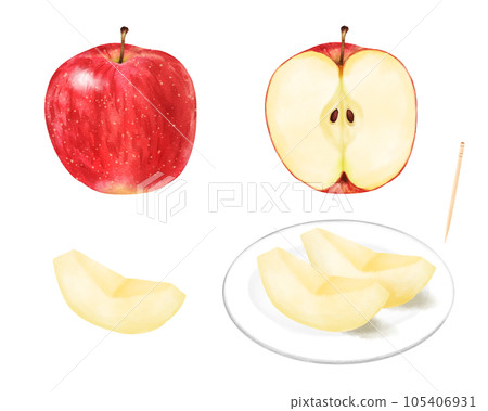 水彩繪製的一組紅蘋果(整個、半個、楔形切割) 水彩繪製的一組紅蘋果(整個、半個、楔形切割) 105406931