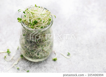 Microgreens grown in a jar. 105406994