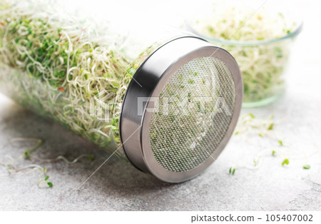 Microgreens grown in a jar. Microgreens grown in a jar. 105407002