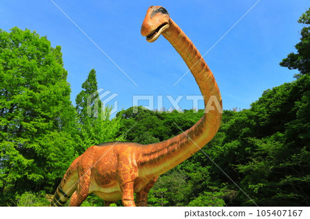 [Okayama] Dinosaur Park Diplodocus (Horseshoe Crab Museum) 105407167