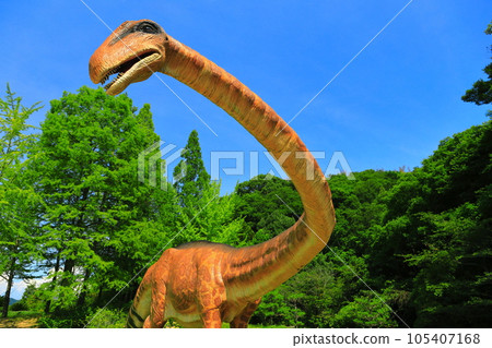 [Okayama] Dinosaur Park Diplodocus (Horseshoe Crab Museum) 105407168