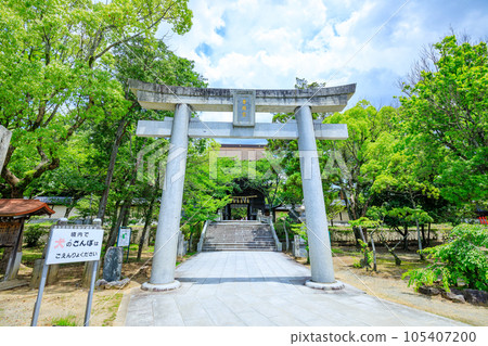 初夏的香椎宮神社,福岡縣東區 初夏的香椎宮神社,福岡縣東區 105407200