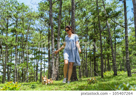 Young woman walking with her corgi dogs in the forest Young woman walking with her corgi dogs in the forest 105407264